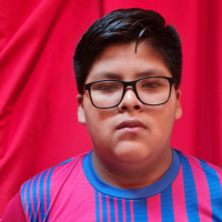 Foto de MERVIN